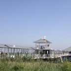Seebruecke Heringsdorf