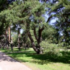 Promenade Heringsdorf