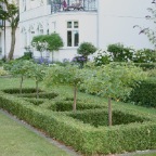 Buchsbaum & Rosen