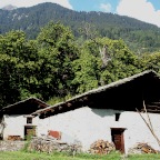 Esskastanien Wälder