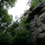 IMG_4684.JPG