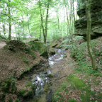 IMG_4685.JPG