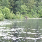 Schwarzer See