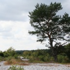 Feuersteinfelder