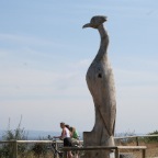 Sturmvogel