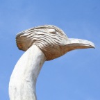 Sturmvogel