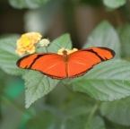 IMG_4726.JPG
