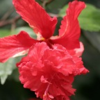 IMG_4730.JPG