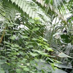 IMG_4745.JPG