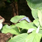 IMG_4753.JPG