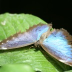 IMG_4755.JPG